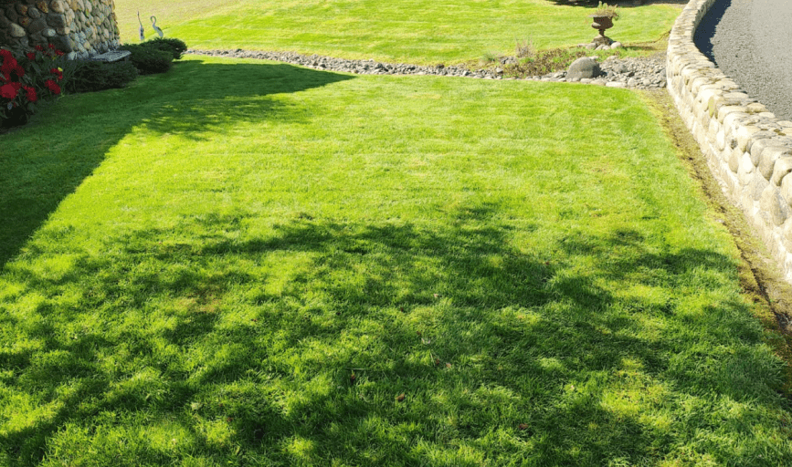 Brother Bears Lawn Care & Maintenance 