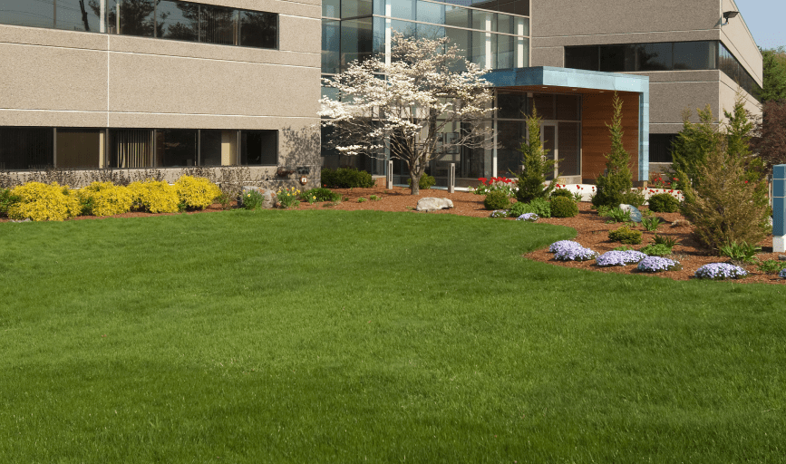 Brother Bears Lawn Care & Maintenance 